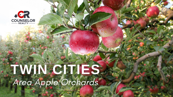 Apple Orchards near the Twin Cities | Counselor Realty