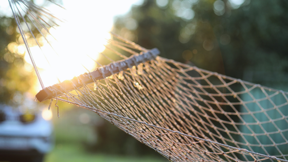 Celebrate Hammock Day: How to Create a Serene Outdoor Oasis | Counselor Realty